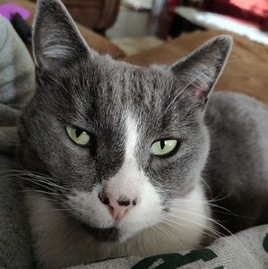 Meet your Posher, Omar